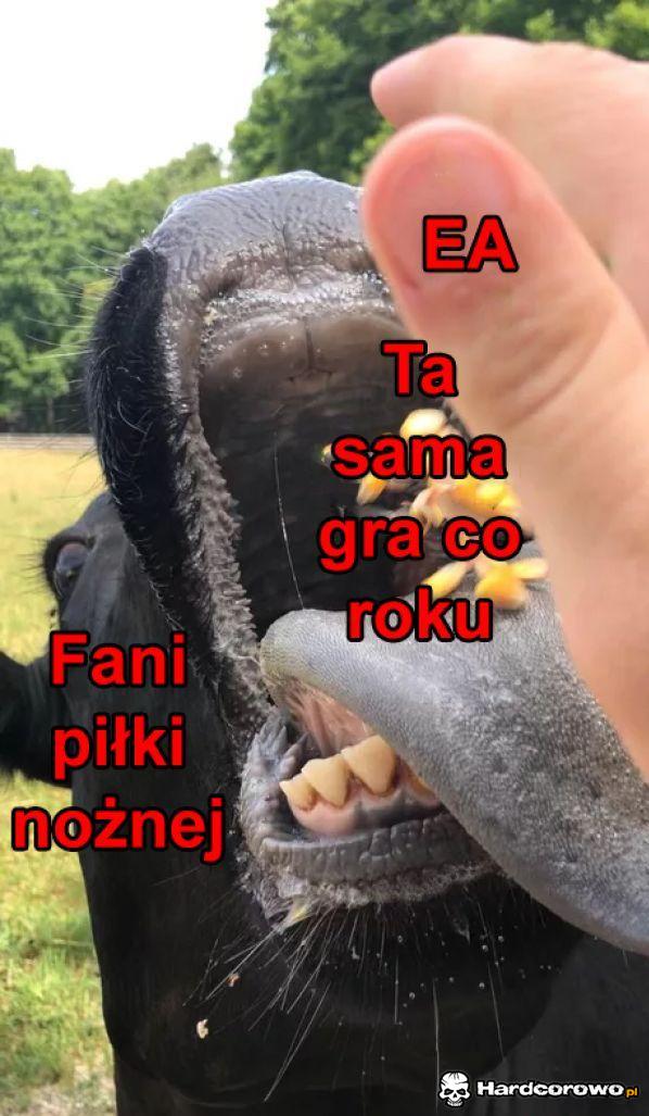 EA - 1