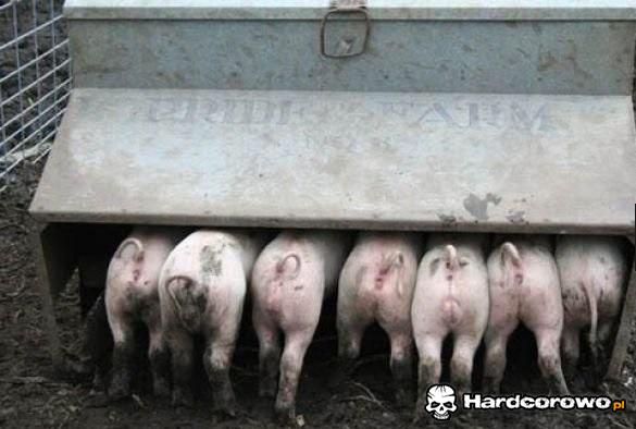 Sejmowa restauracja - 1