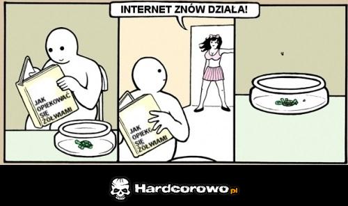 Internet znów działa  - 1