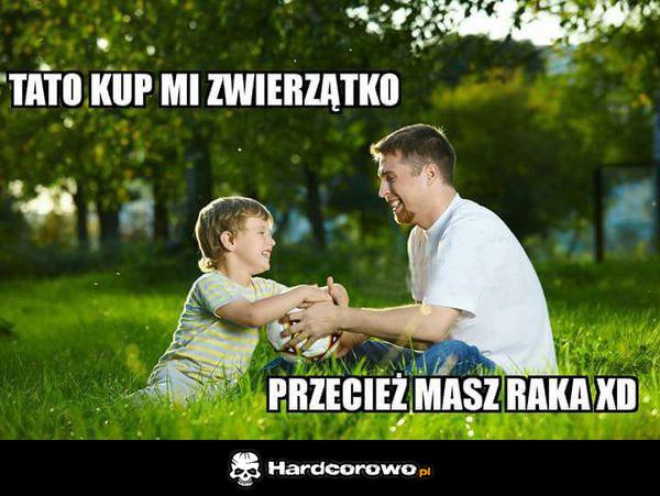 Nowe zwierzątko - 1