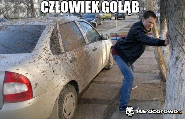 Człowiek Gołąb - 1