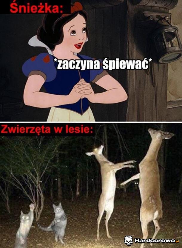 Zawsze - 1