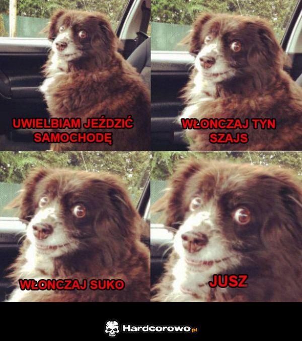 Właczaj - 1