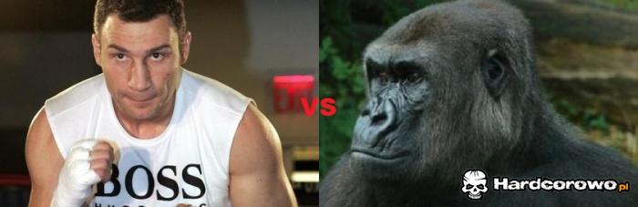 Vitali Klitschko vs Derek Chisora - 1