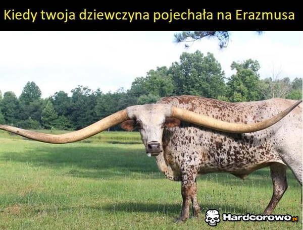 Erazmus - 1