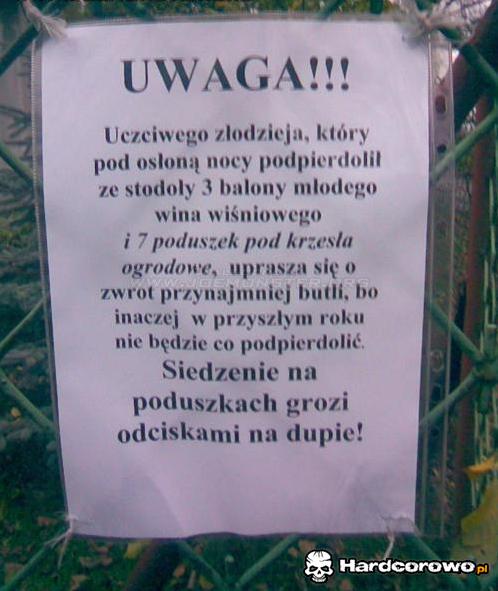 Do złodzieja wina i poduszek - 1