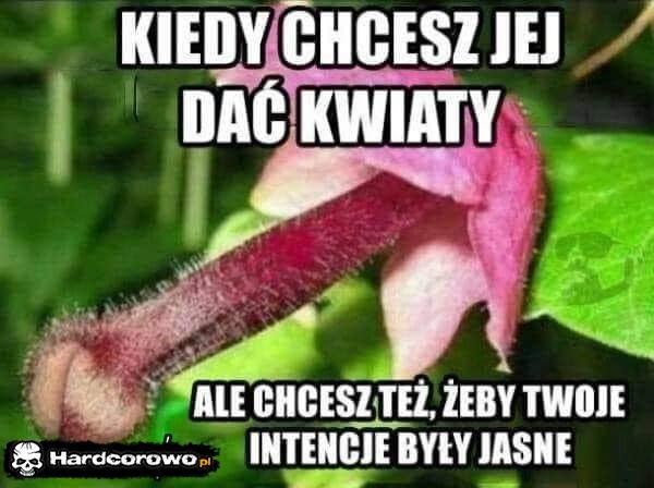  - 1