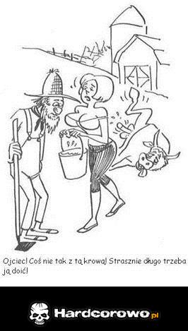 3-Ojciec coś nie tak z tą krową - 1