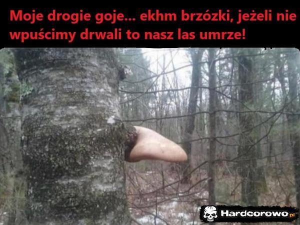  - 1