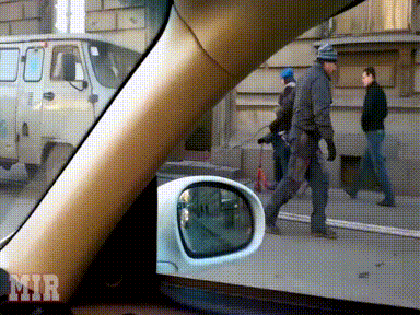 Śmieszny piesek - 1