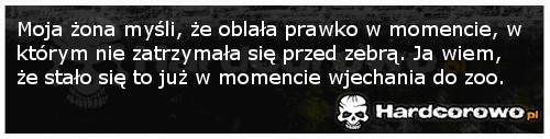 Oblanie prawa jazdy - 1