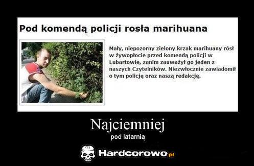 Najciemniej pod latarnią - 1
