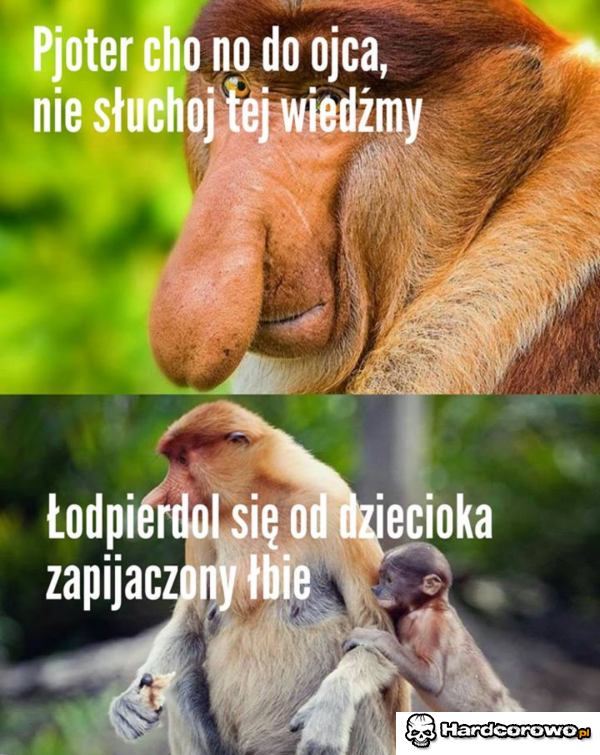 Typowa Polska rodzinka - 1