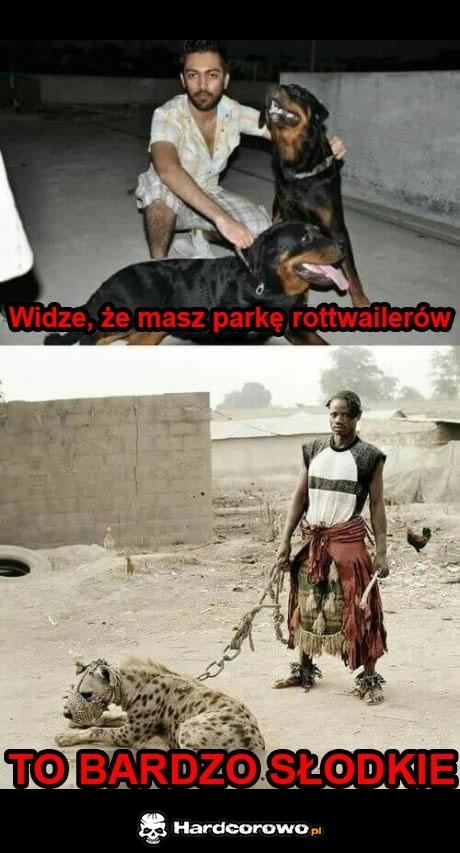 Słodko - 1