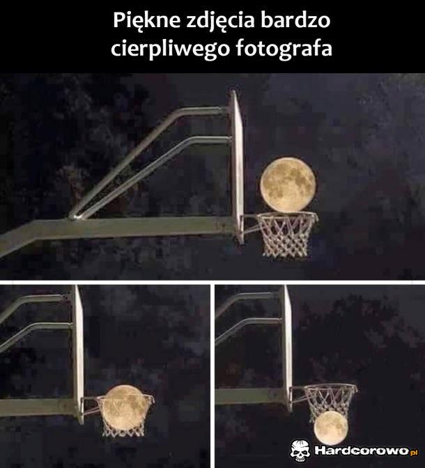Cierpliwy fotograf - 1