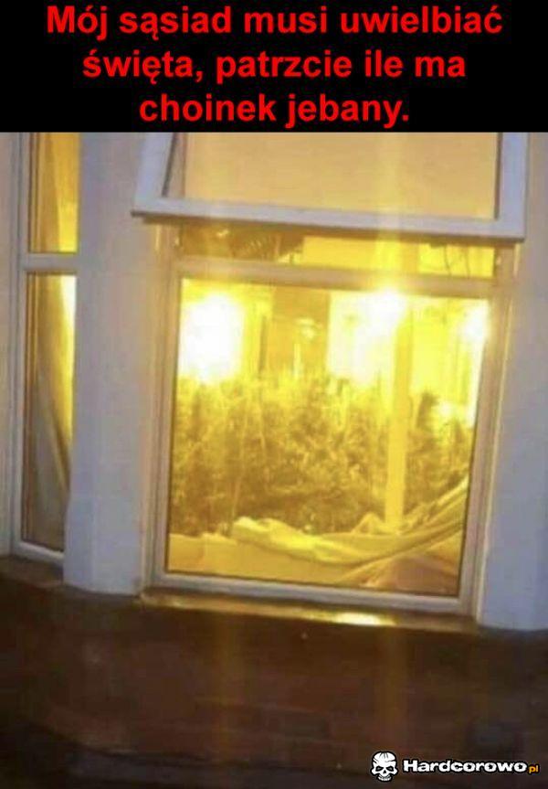 Świąteczny sąsiad - 1