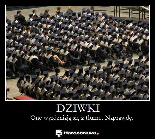 Dziwki - 1