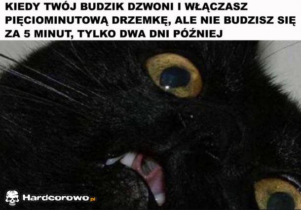 Budzik - 1
