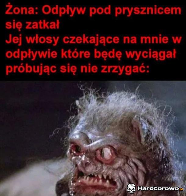 Odpływ pod prysznicem - 1