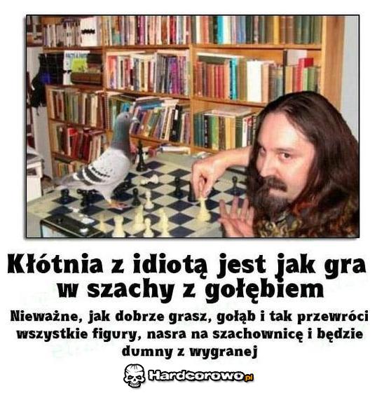 Kłótnia z idiotą - 1