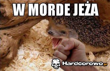 W mordę jeża - 1