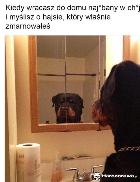 Co ja robię - 1