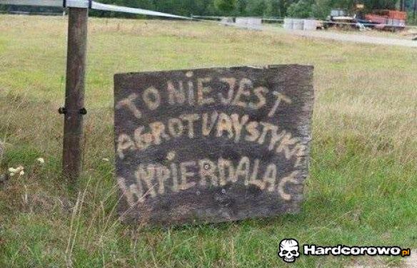 I tyle - 1