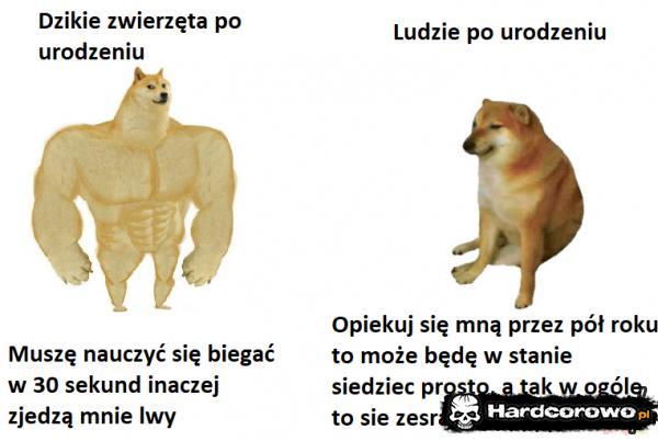  - 1
