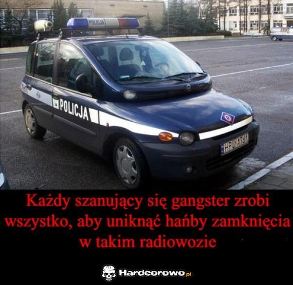 Nowoczesne metody odstraszania - 1
