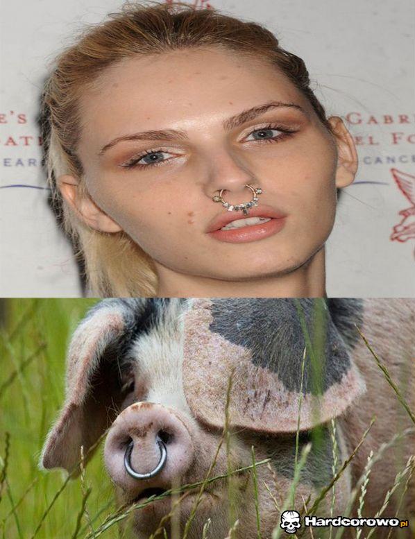 Tacy podobni  - 1