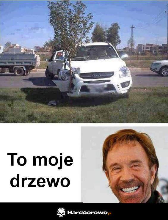 Drzewo Norrisa - 1