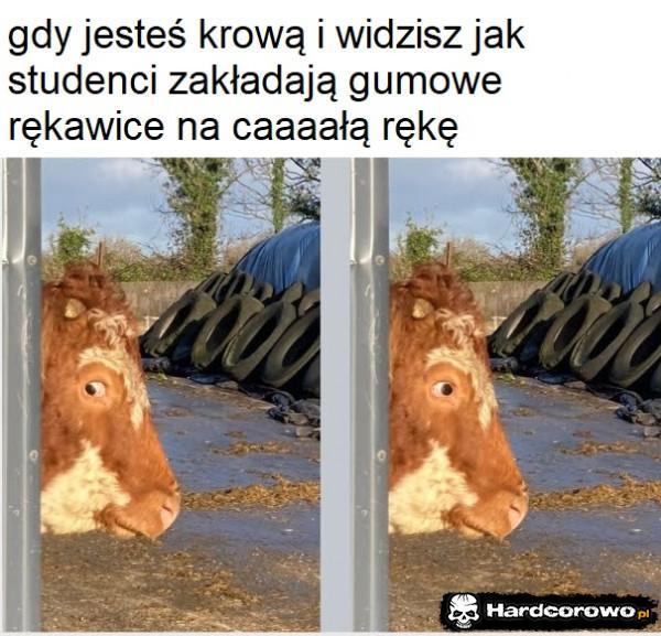  - 1