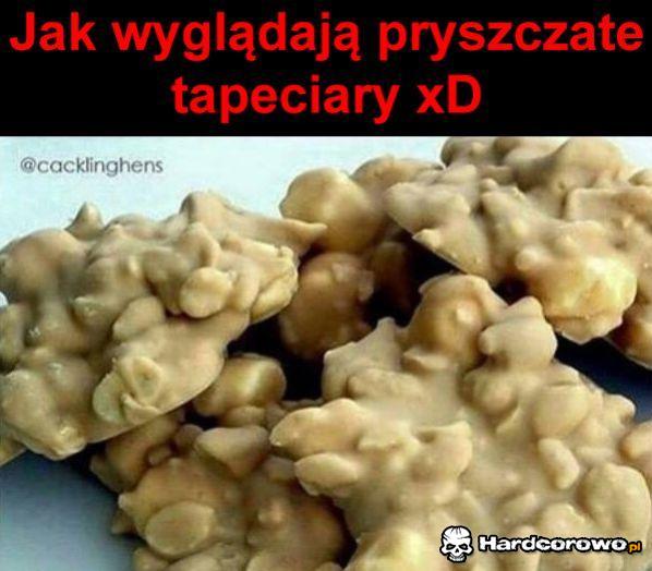 Pryszczate tapeciary  - 1