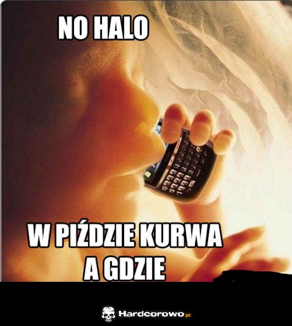Halo - 1