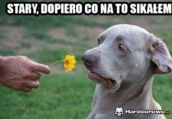 Co ty człowiek! - 1