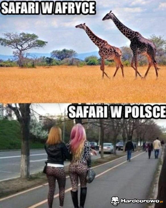 Safari - 1
