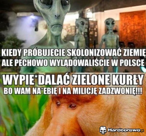 Precz, dziady jedne! - 1