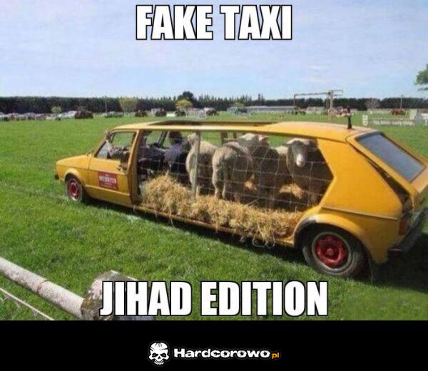 Fake taxi - 1