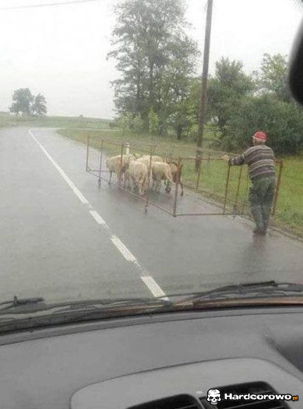 Potrzeba matką wynalazków - 1