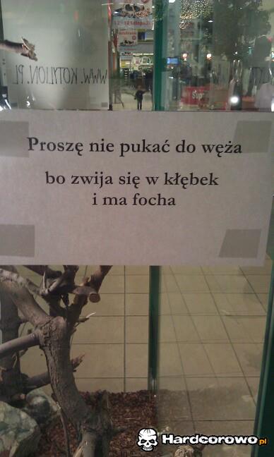 Nie pukać do węża - 1