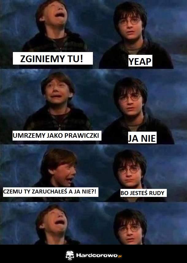 Harry i Ron - 1