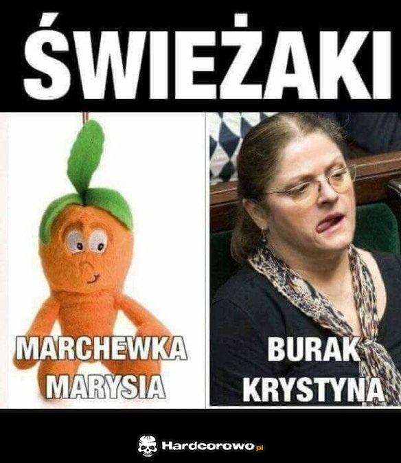 Którego świeżaka wybierasz? - 1