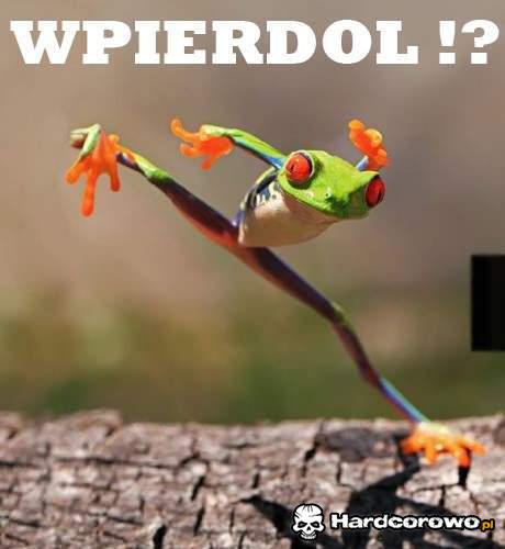 Wpierdol? - 1