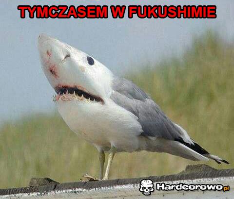 Tymczasem w Fukushimie  - 1