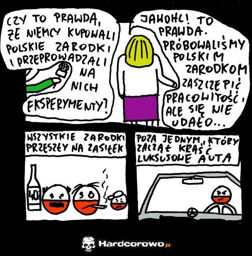 Polskie zarodki  - 1