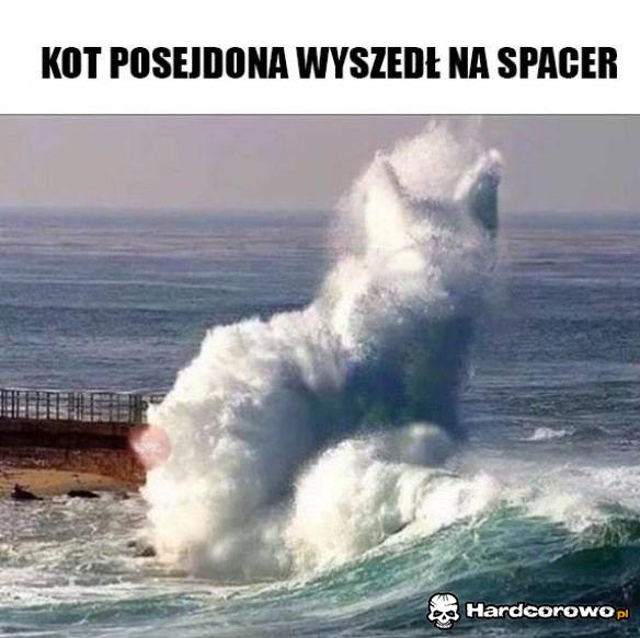 Kot Posejdona - 1