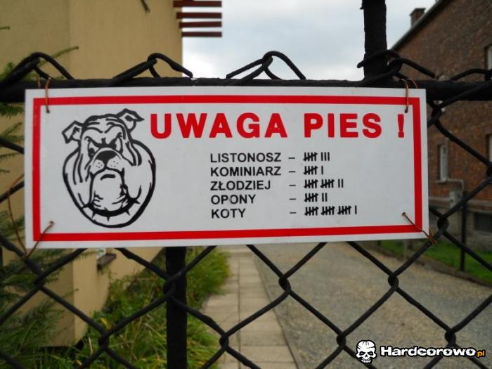 Uwaga pies - 1