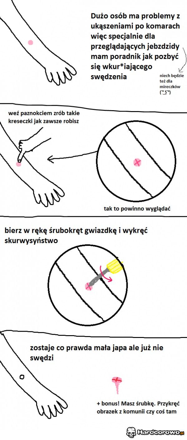 Jak się pozbyć ukąszenia komara - 1