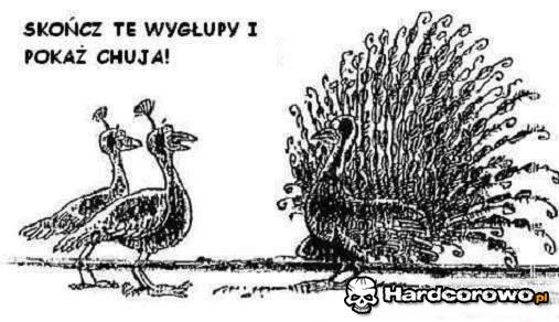 Skończ te wygłupy - 1