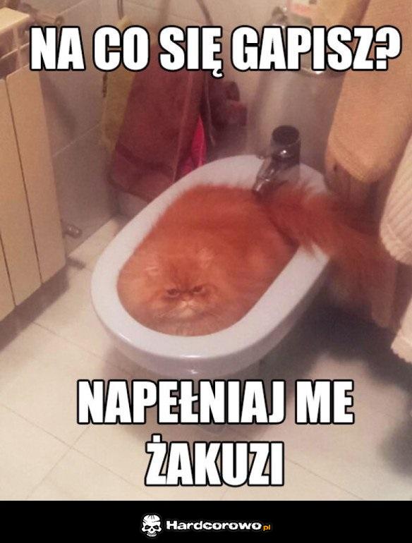 Koteł - 1